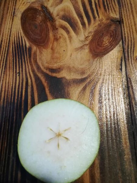 Структура Мироздания