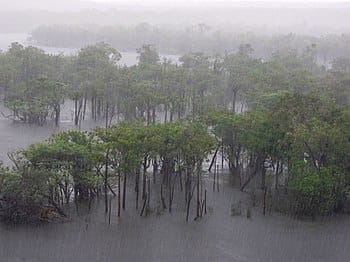 Как остановить дождь